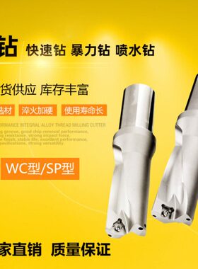 WC/SP型U钻4倍径28 28.5 29 29.5 30 30.5 31 31.5 32 32.5可定做