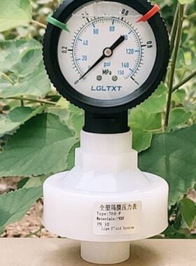 PVDF隔膜压力表Y60 DN15内丝不锈钢款304表盘耐震四氟膜片油压表