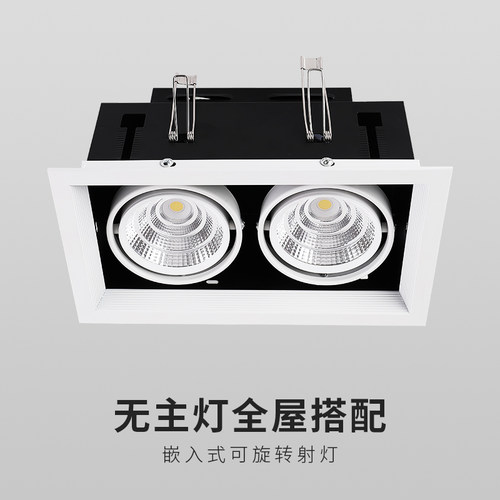 斗胆灯嵌入式 客厅商用方形形双头单头天花吊顶商场健身房格栅灯