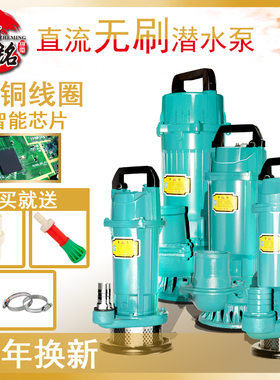直流无刷潜水泵24v48v60v72v1寸2寸3寸4寸高扬程大流量车水泵