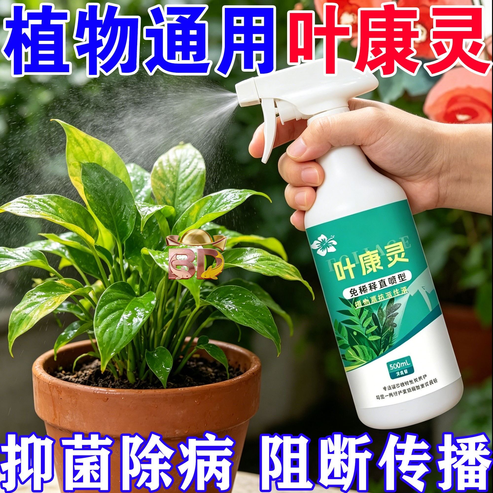 叶康灵植物营养液月季花病虫害常用药茶花桂花黄叶黑斑病专用药