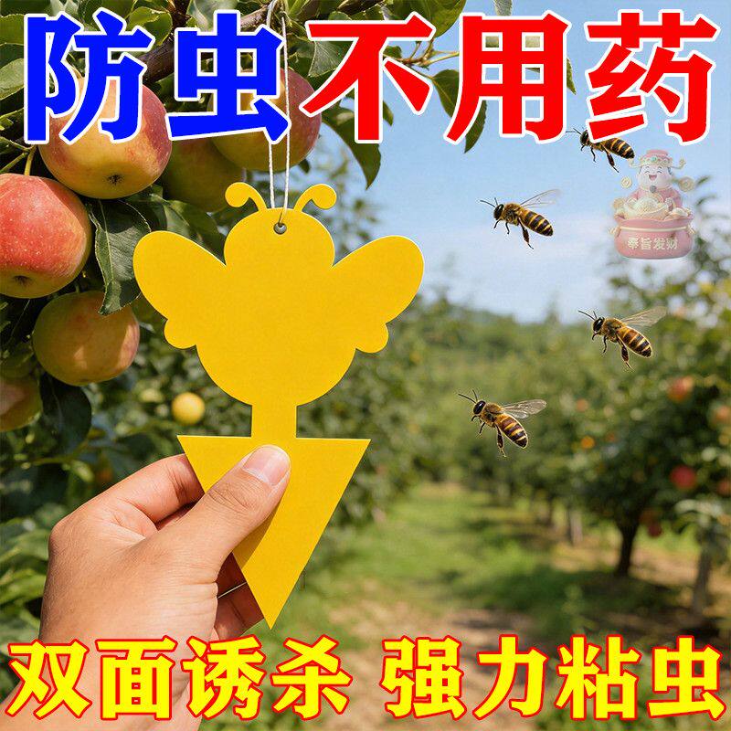 双面粘虫板家用黄板双面诱虫板绿植多肉园艺蝴蝶防虫板诱捕飞虫板