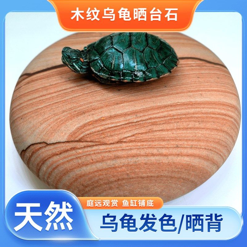 黄腊石天然晒台鱼缸观赏造龟垫脚石龟苗发色乌景晒背休息台原石头