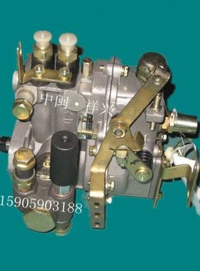 漳州力佳柴油机配件 福建力佳发动机零件 SL2110油泵总成 2BQ103