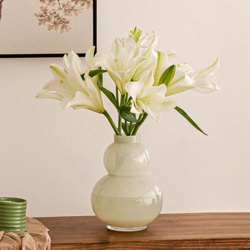 花瓶玻璃白色葫芦水养鲜花百合纳福新中式创意窄口加厚桌面小号