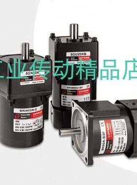 LY马达 LUYANG电机 4IK25RGN-CT  41K25RGN-CT(Y) 4GN60K 4GN5K