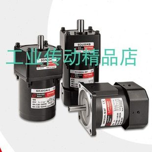 4IK25RGN 41K25RGN 4GN5K LY马达 4GN60K LUYANG电机