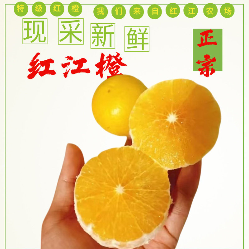 正宗廉江红橙湛江特产10斤装橙子手剥薄皮甜橙红江橙新鲜农场水果