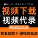 网页视频下载录屏直播会议视频录像制作代录制屏幕网页代提取MP4