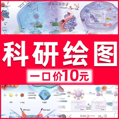 科研绘图制作素材ppt示意图sci医学示意图美化插画模型生物2d3d作
