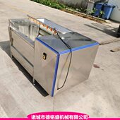 内长一米 猪头蹄去毛清洗机 洗莲藕机器 毛刷清洗机