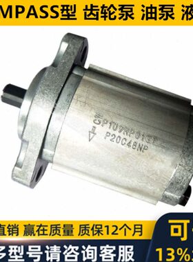 齿轮泵P102 P101 P127 P135 P105 P106 P107 P109 RP01GT RP016M