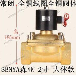 水阀电磁阀全铜2w-500-50 2寸 大体 体长157m 220v 24v 12v DN50