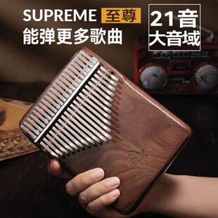 专尔2023新款高端至尊拇指琴21音卡林巴手指琴女生简单易学小乐器