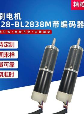 无刷电机GB28-BL2838M带编码器慢煮机电推剪智能机器人减速马达