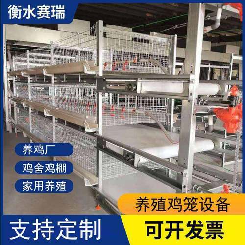 鸡笼肉鸡笼全自动肉鸡笼热镀锌肉鸡笼养殖场用自动肉鸡笼