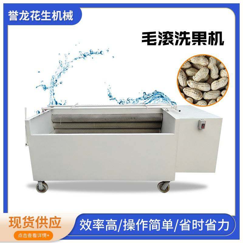 全自动毛辊洗果机花生果毛辊清洗机核桃坚果毛刷去泥沙清洗机,清洗/食品/商业设备,其他食品加工设备,淘宝优惠券,粉丝福利购,淘宝优惠卷