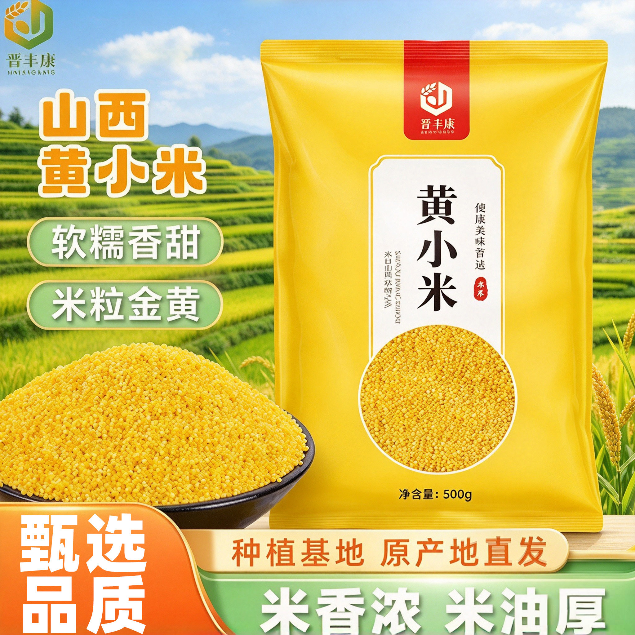 正宗山西黄小米米油稠厚