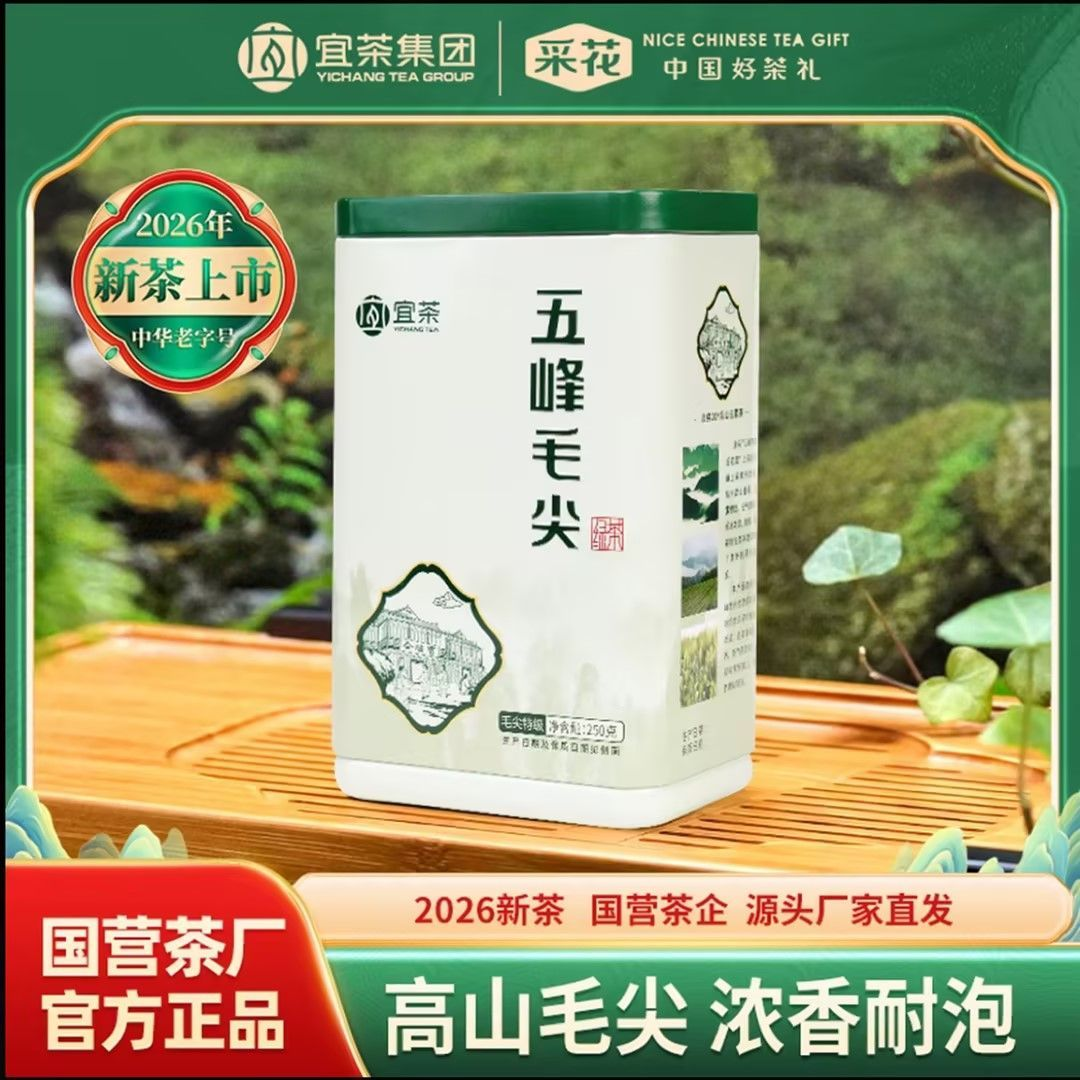 2026新茶采花毛尖五峰茶叶特级明前春茶罐装自己喝绿茶250g