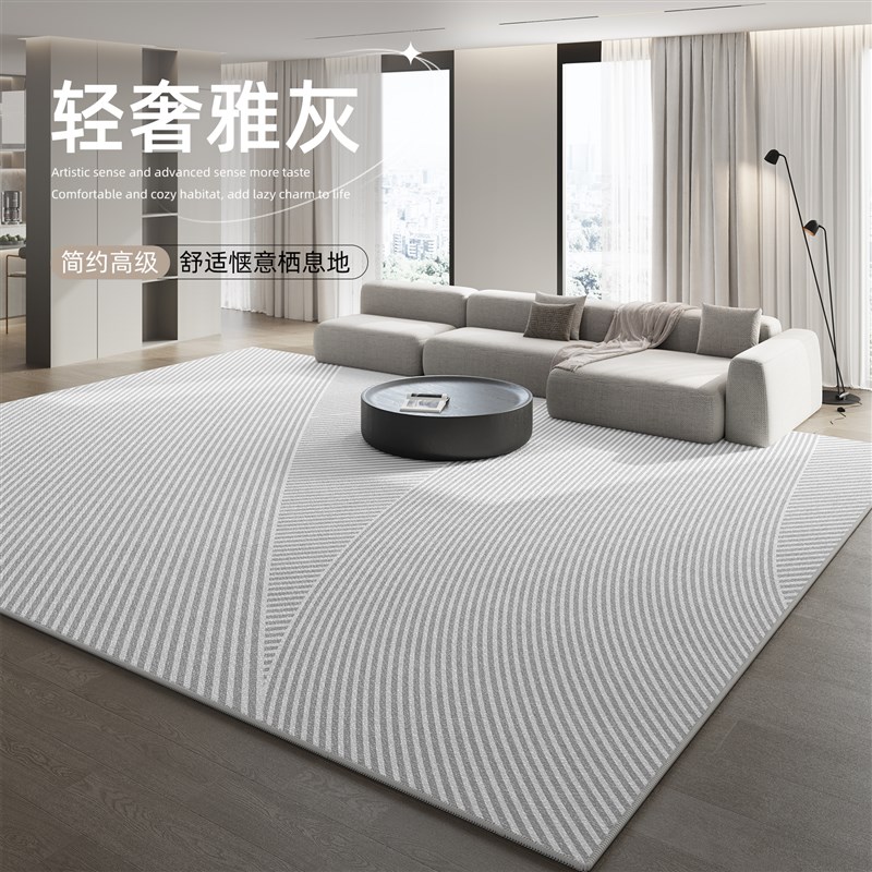 WT2U地毯客厅轻奢2024新款卧室床边毯免洗可擦地垫房间大面积