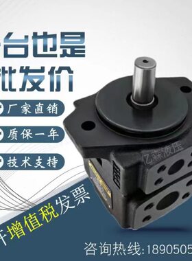 凯利通叶片泵PV2R1-6-8-10-12-14-17-19-23-25-28-31-FR油泵