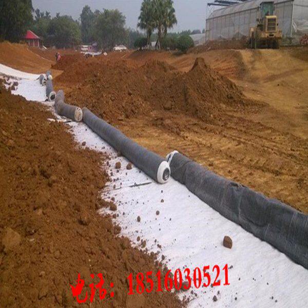 水产养殖塘虾池鱼塘沟渠地下室护坡工程膨润土防水毯人工湖游泳池
