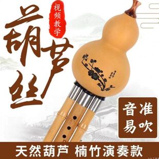 葫芦丝小学生专用七孔初学者c调降B调防摔儿童紫竹楠竹胡芦丝乐器