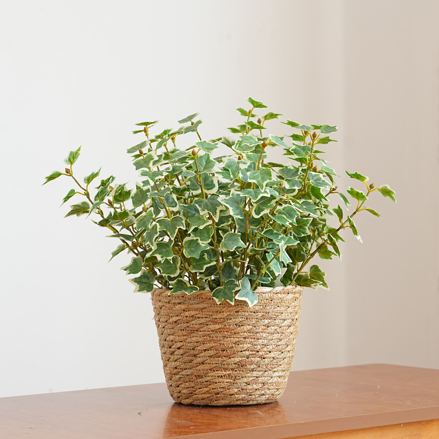 假花 ins北欧仿真植物小花束套装家居客厅装饰绿植盆栽桌面摆件,鲜花速递/花卉仿真/绿植园艺,仿真绿植,淘宝优惠券,粉丝福利购,淘宝优惠卷