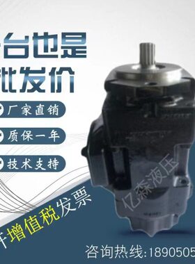 印度VELJAN维京油泵VT6DC-045-025/028/045-1R00B1 VT6DC-038-028