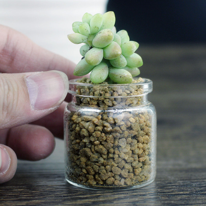 包邮50个迷你小花瓶玻r璃试管花瓶多肉玻璃瓶特小壁挂花器水培器