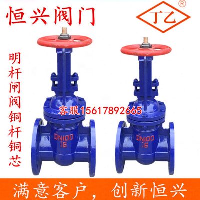 Z41T-16明杆法兰闸阀 铜杆铜芯闸板阀DN40 50 65 80 100 150 200