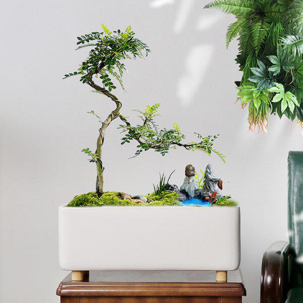 无孔可水培陶瓷白色简约北欧长方形绿植白瓷水养多肉花艺装饰花盆