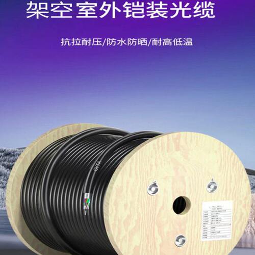 单模铠装光纤光缆GYTA/S-12B1.3架空管道直埋各芯数可定制包邮