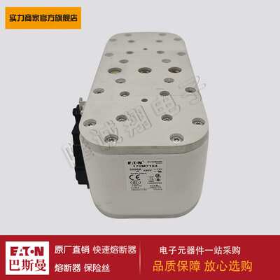 熔断器170M7162 170M7163 170M7164 170M7165 170M7166 170M7167