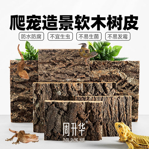 造宠真树皮软木树植香槟树皮玻璃缸爬景绿皮墙装饰水族装饰树皮