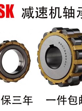 减速机偏心轴承RN205 206 307 308 309 312 219 222M圆柱滚子系列