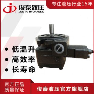 变量叶片泵 低噪音 俊菱牌 小型液压泵 FA3 液压油泵 VP20 现货