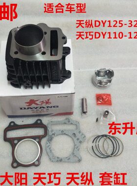 大阳天巧DY110-12-18A 天纵DY125-32-66活塞环套缸垫气门小链条