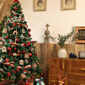 饰商场酒店圣诞装 垂绣 圣诞树套餐加密圣诞树家用圣诞节装 饰布置