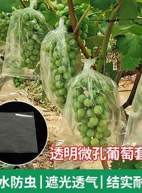 透明水孔套萄套袋妮娜皇后葡袋释迦芒果袋苦瓜套袋微果袋厂家