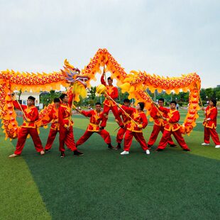 3号9节绸缎布龙 舞龙道具龙灯道具  舞龙舞狮灯光龙舞台活动表演