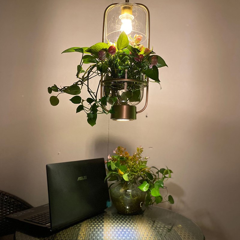 植物吊灯吧台g吊灯工业风咖啡厅餐厅阳台灯创意个性水养绿植装饰