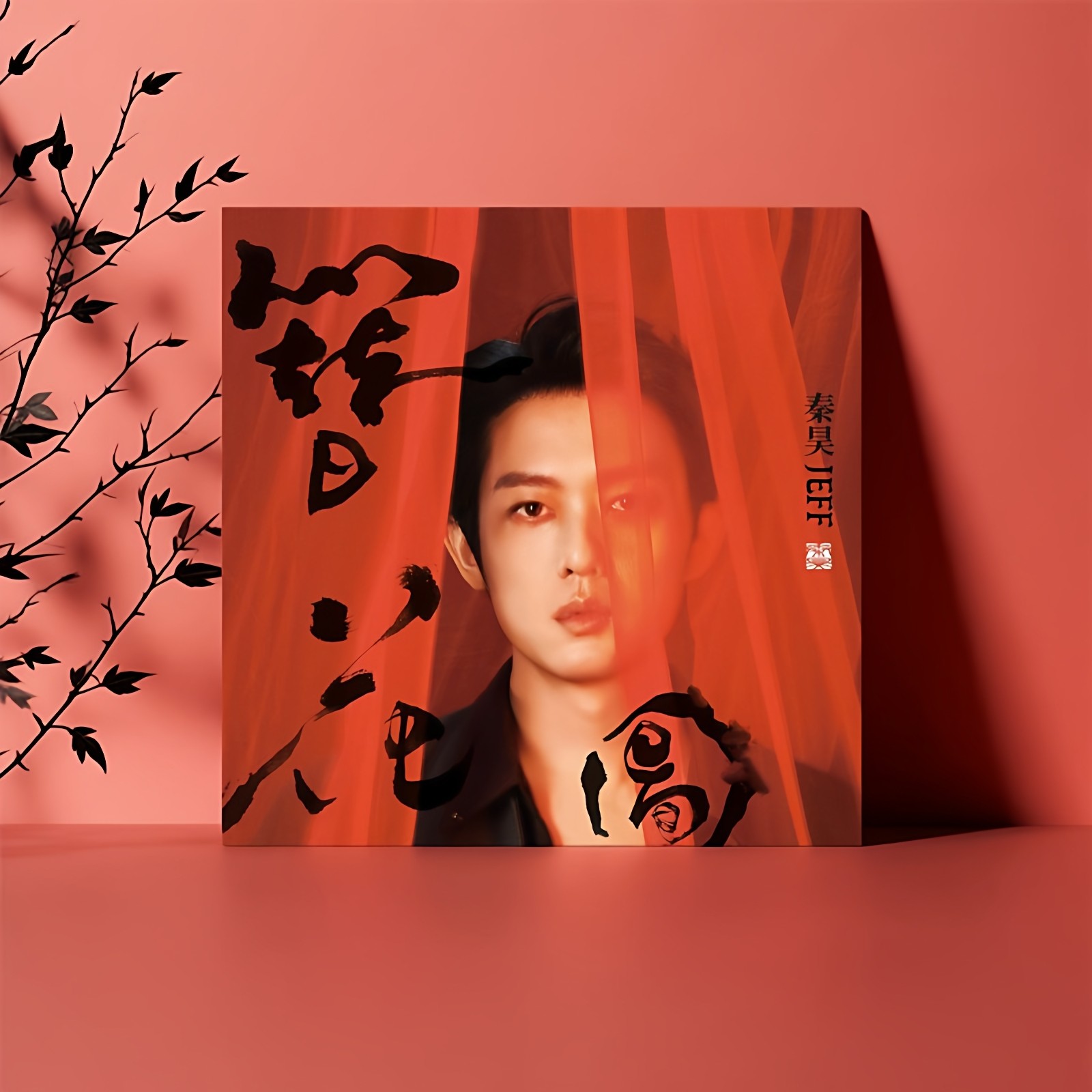 正版 秦昊首张原创国风专辑 簪花图 CD唱片+小卡+海报+歌词册,音乐/影视/明星/音像,音乐CD/DVD,淘宝优惠券,粉丝福利购,淘宝优惠卷