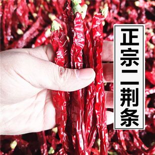 贵州遵义土特产微辣二荆条干辣椒特香正宗调味料新鲜500g家用线椒