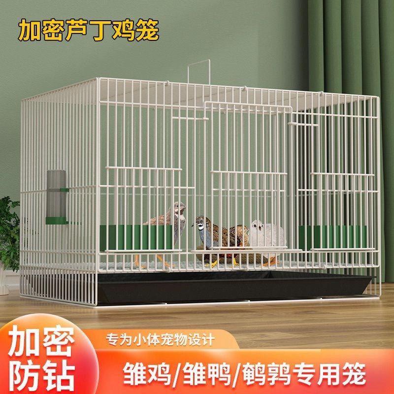芦丁鸡专用笼加密雏小鸡