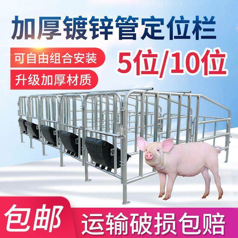 母猪定位栏产床10个限老