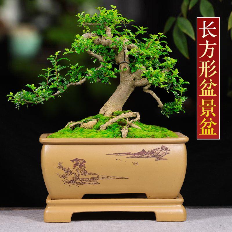 长方形紫大花盆精品盆陶