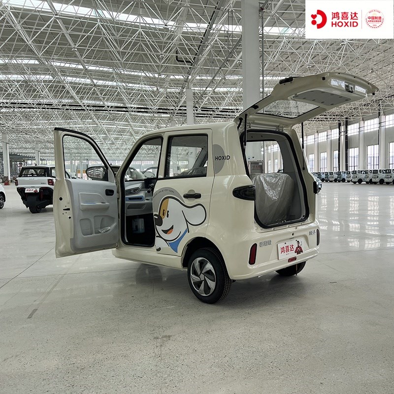 鸿喜达福墩墩新款国标电动三轮老年代步H车家用男女接送孩子可上