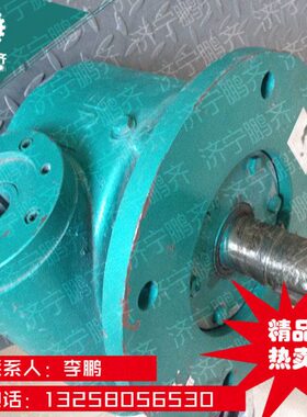 WC100蜗轮蜗杆回转减速机 速比20 济宁吊车各种配件大量销售