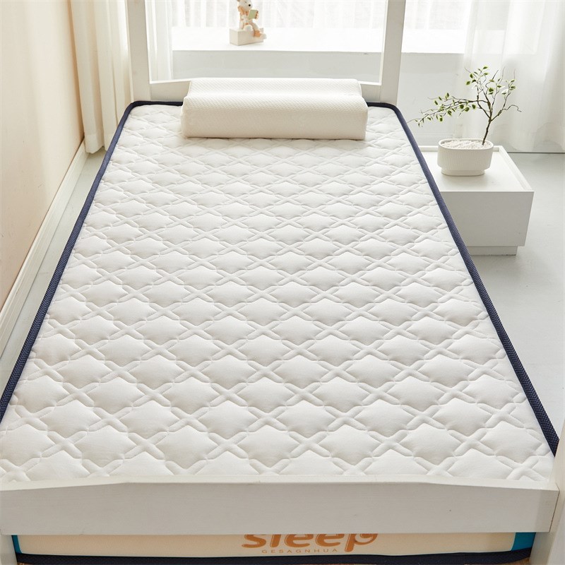 乳胶记忆海绵抗菌加厚床垫家用0.9m榻榻米床垫学生宿舍单人软床垫